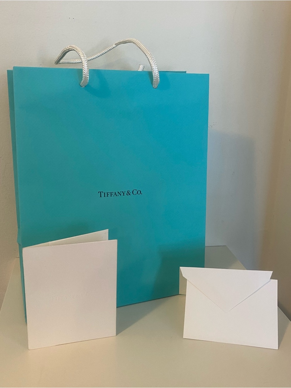 Tiffany & Co. Shopping Bag with White Rope Handles